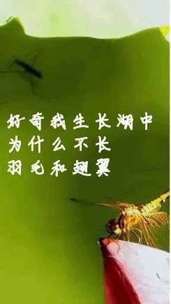 印4.jpg