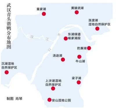 分布地图.jpeg